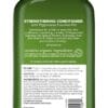 WhatsApp Image 2025-09-17 at 11.17.24_4babc595 Strengthening Peppermint CONDITIONER بلسم النعناع المقوي