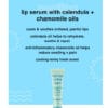 مرطب شفاه بخلاصة النعناع Bye To The Burn Cooling Lip Serum