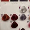Subrina Professional Permanent Color | سوبرينا اصباغ الشعر - 100 مل