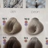 Subrina Professional Permanent Color | سوبرينا اصباغ الشعر - 100 مل