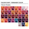 Subrina Professional Permanent Color | سوبرينا اصباغ الشعر - 100 مل