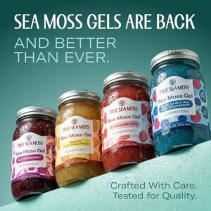 TRUE SEA MOSS - Gel Superfood - 473 ml | ترو سي موس جل طحالب البحر الغذائي الخارق - 473 مل