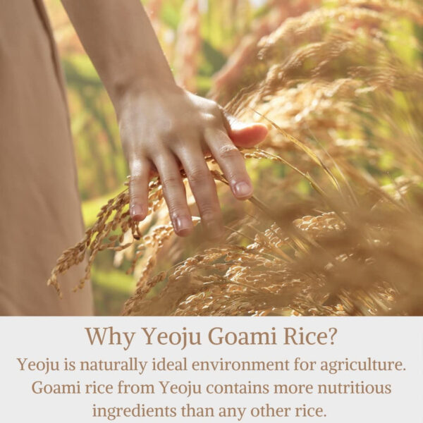 YEOJU KOREA I’M FROM Rice Toner - 150ml | ايم فروم تونر الارز - 150 مل