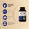 naturebell NAD+ 1,500mg Per Serving, 240 Veggie Capsules | مكمل NAD+ بتركيز 1500 مجم (240 كبسولة نباتية)